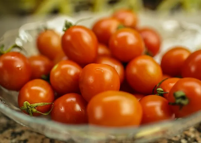 Frühstückspension Cappadocia Safir Nevşehir